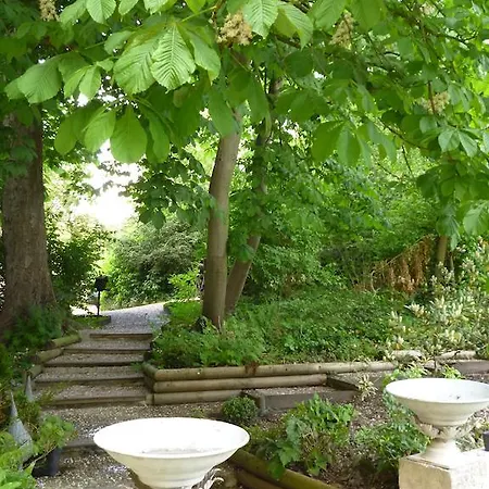 Les Buis De Boscherville